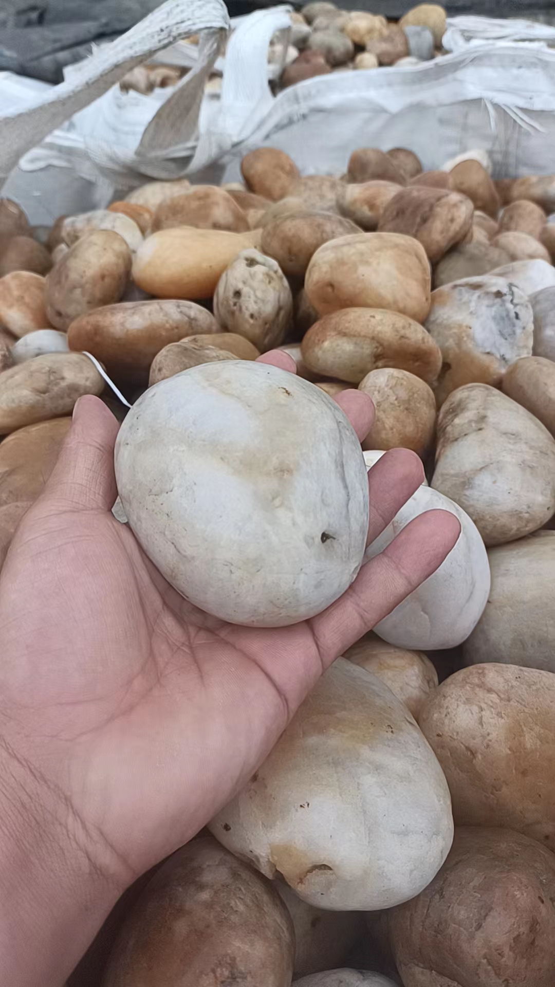 天门鹅卵石
